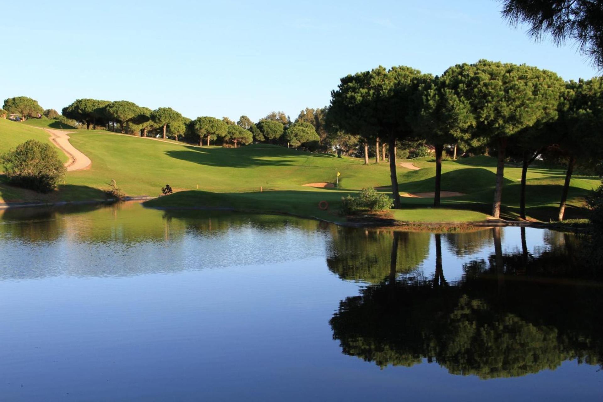 Holiday home Cabopino Casa La Romana Marbella